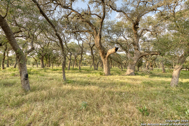Listing photo id 4 for 3111 Hugo Rd