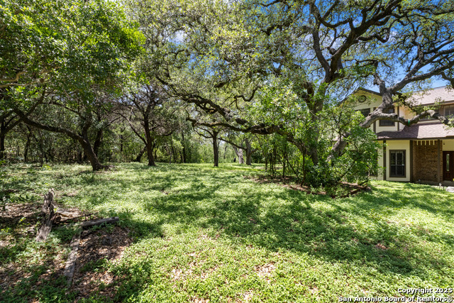 Image 8 of 56 For 10623 Alta Loma