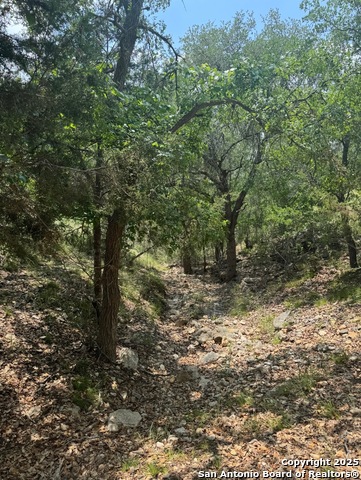 Image 10 of 10 For 636 Martingale