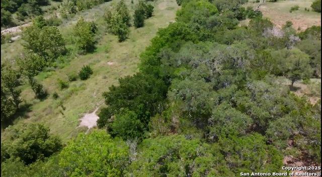 Image 4 of 10 For 636 Martingale