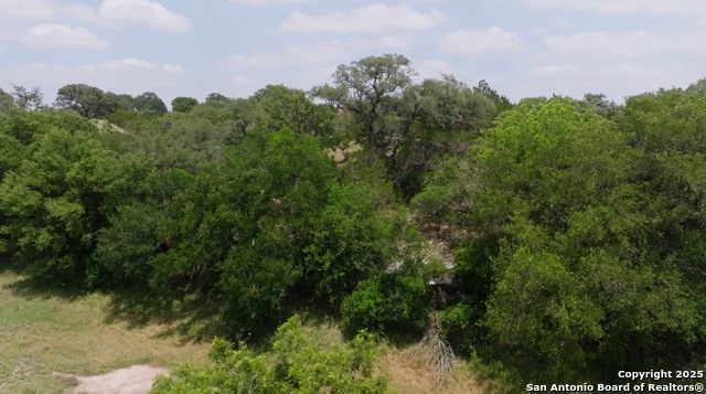 Image 5 of 10 For 636 Martingale