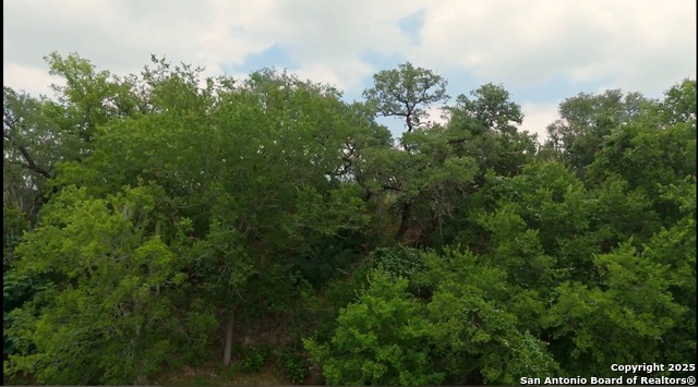 Image 7 of 10 For 636 Martingale