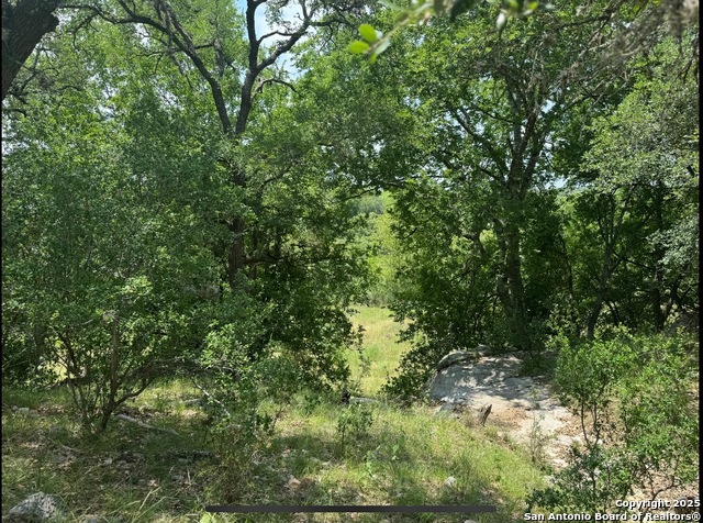 Image 8 of 10 For 636 Martingale