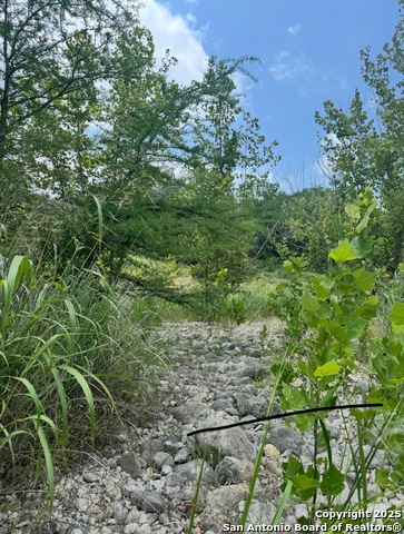 Image 9 of 10 For 636 Martingale