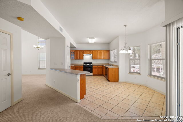 Image 14 of 41 For 2313 Canopy Place