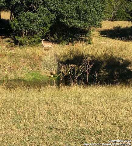 Image 15 of 19 For 889 Long Meadow