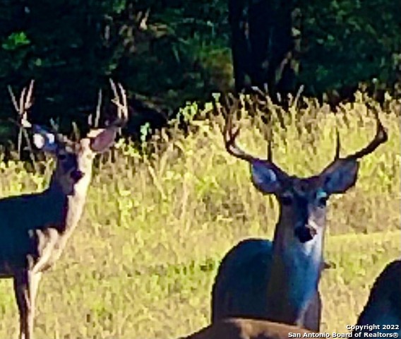 Image 17 of 19 For 889 Long Meadow