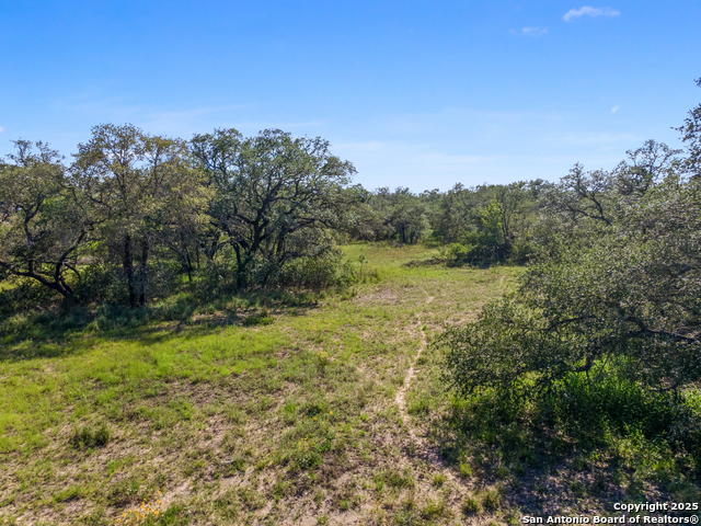 Details for 163 Palomino Trail, Natalia, TX 78059