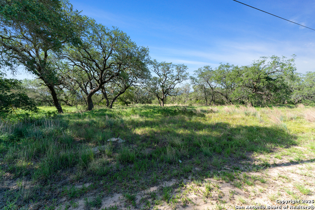 Listing photo id 0 for 163 Palomino Trail