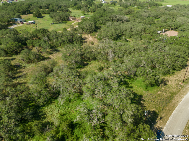 Listing photo id 26 for 163 Palomino Trail