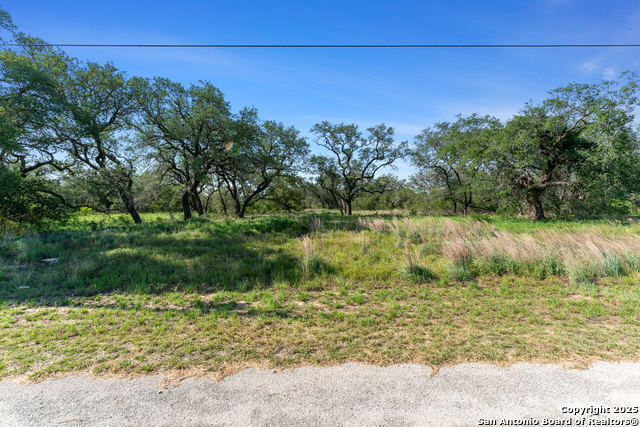 Listing photo id 1 for 163 Palomino Trail