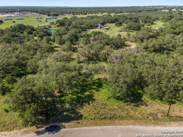 Listing photo id 2 for 163 Palomino Trail