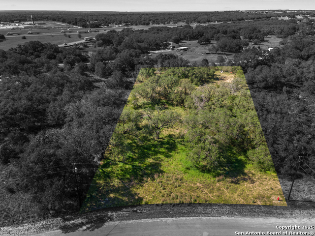 Listing photo id 3 for 163 Palomino Trail