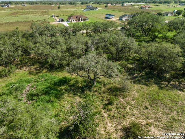 Listing photo id 5 for 163 Palomino Trail