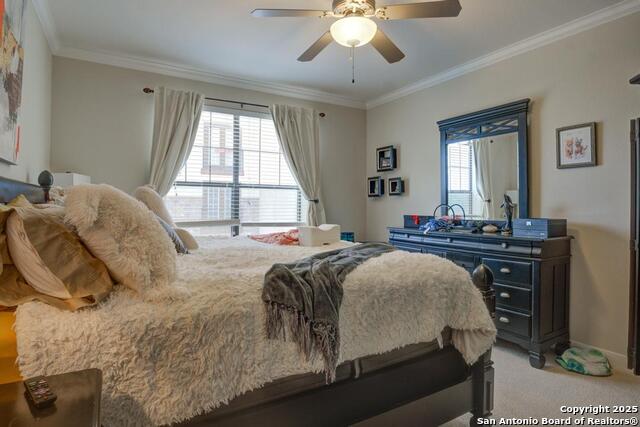 Image 13 of 24 For 7342 Oak Manor  4210