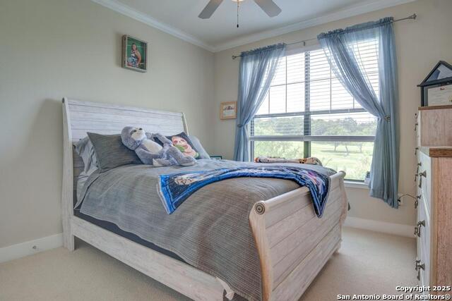 Image 17 of 24 For 7342 Oak Manor  4210
