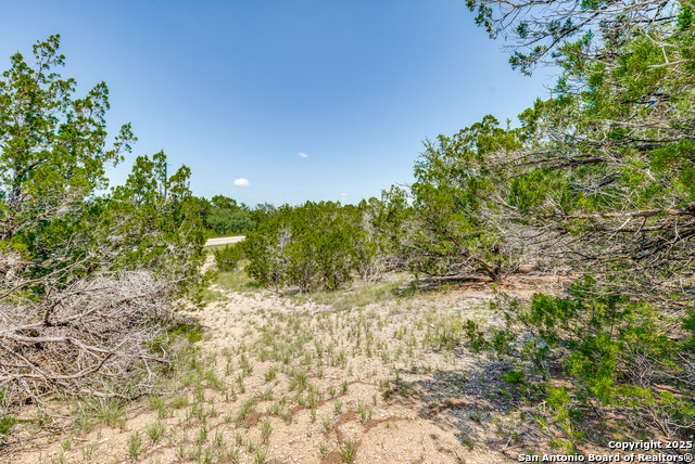 Image 10 of 12 For 125 Patriotic