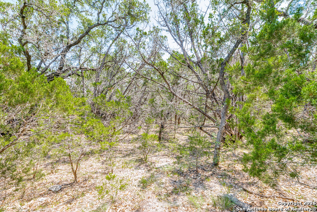 Image 11 of 12 For 125 Patriotic