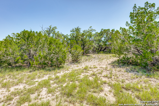 Image 5 of 12 For 125 Patriotic