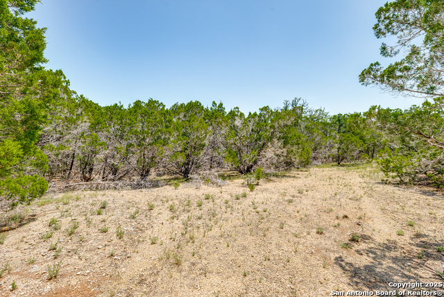 Image 8 of 12 For 125 Patriotic