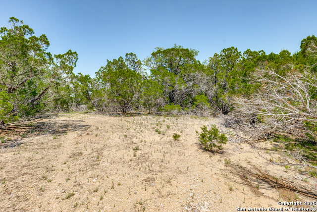 Image 9 of 12 For 125 Patriotic