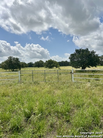 Image 3 of 4 For Lot 229 Ih 35