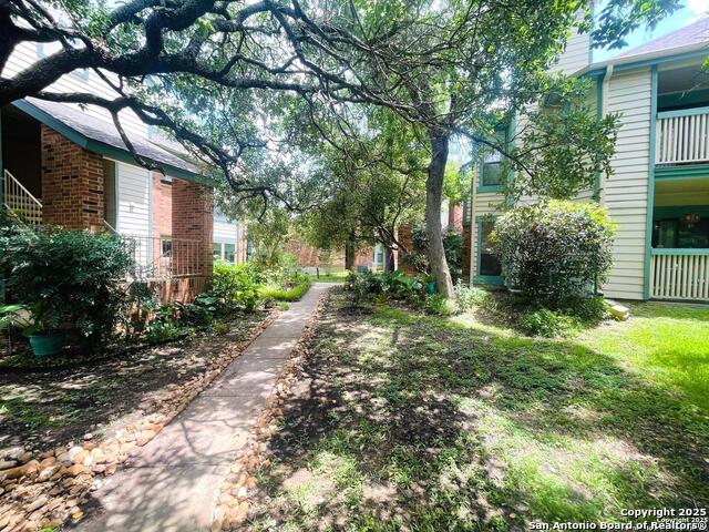 Image 4 of 19 For 4839 Brandeis St.  413