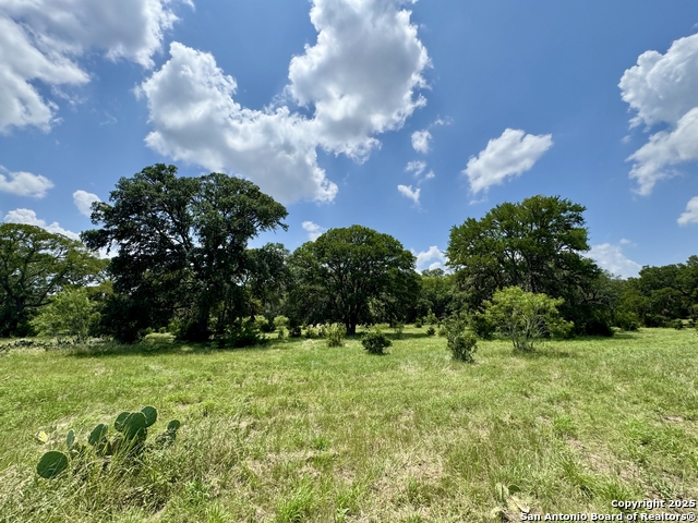 Details for Lot 186 Pr 1712, Mico, TX 78056