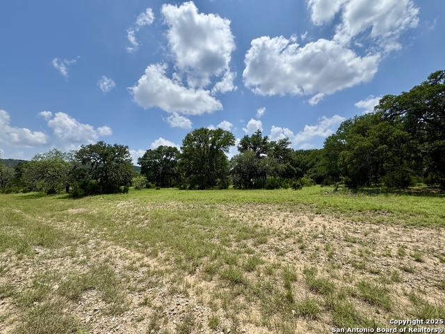 Image 10 of 35 For Lot 186 Pr 1712
