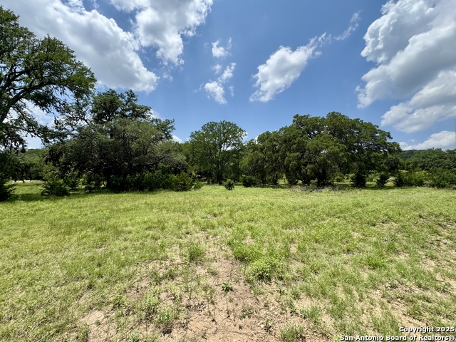 Image 11 of 35 For Lot 186 Pr 1712