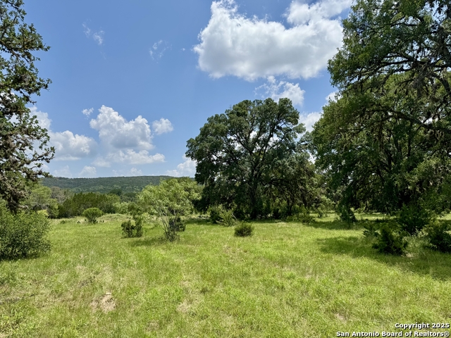 Image 12 of 35 For Lot 186 Pr 1712