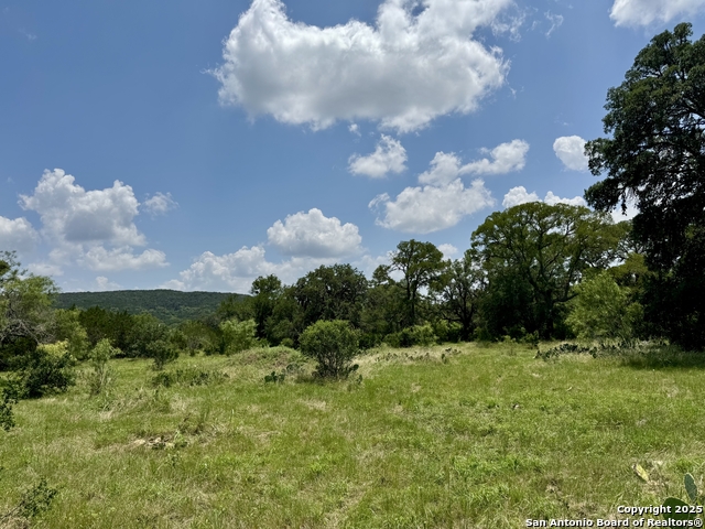 Image 13 of 35 For Lot 186 Pr 1712