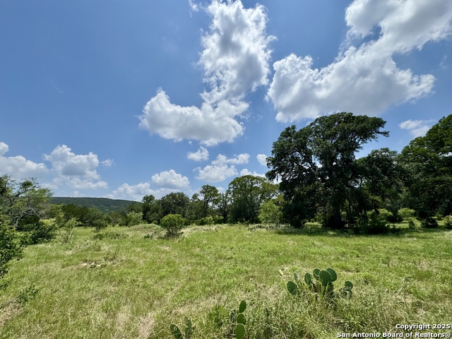 Image 14 of 35 For Lot 186 Pr 1712