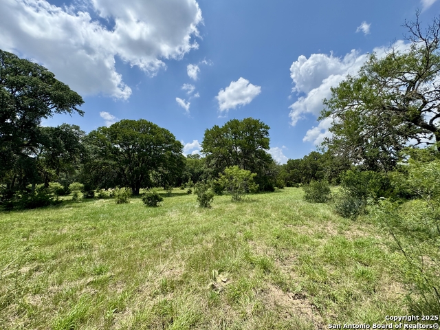 Image 15 of 35 For Lot 186 Pr 1712