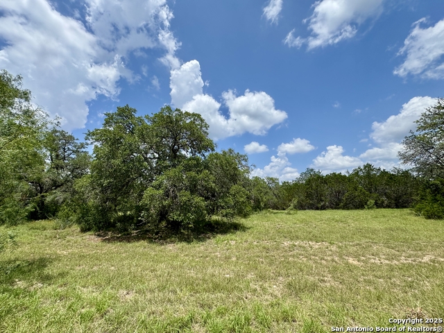 Image 16 of 35 For Lot 186 Pr 1712