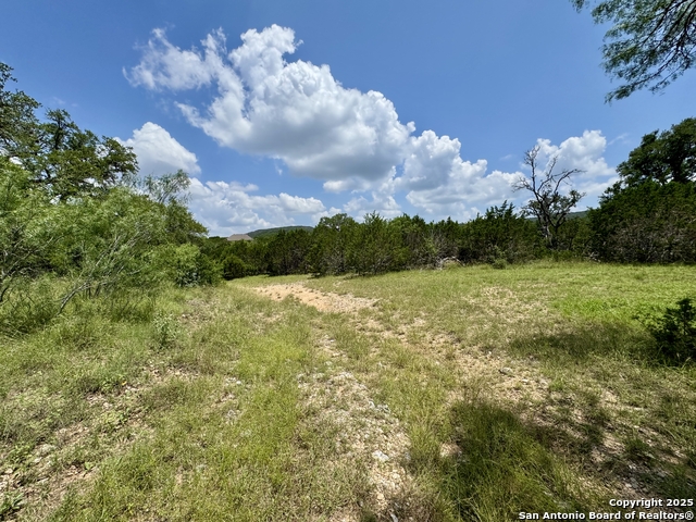 Image 17 of 35 For Lot 186 Pr 1712