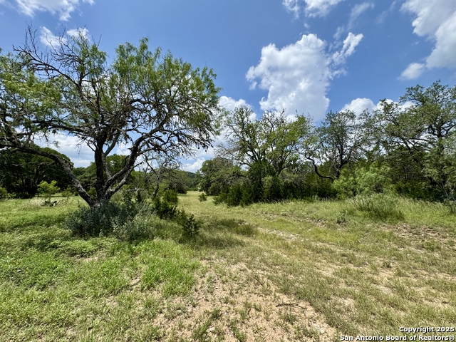 Image 18 of 35 For Lot 186 Pr 1712