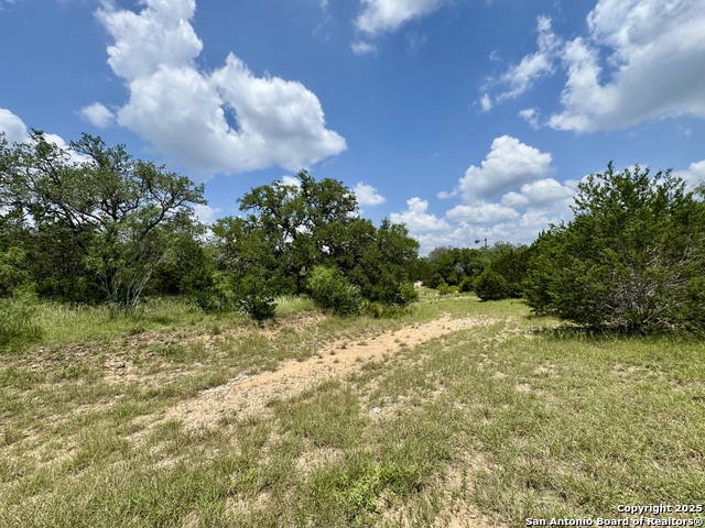 Image 19 of 35 For Lot 186 Pr 1712