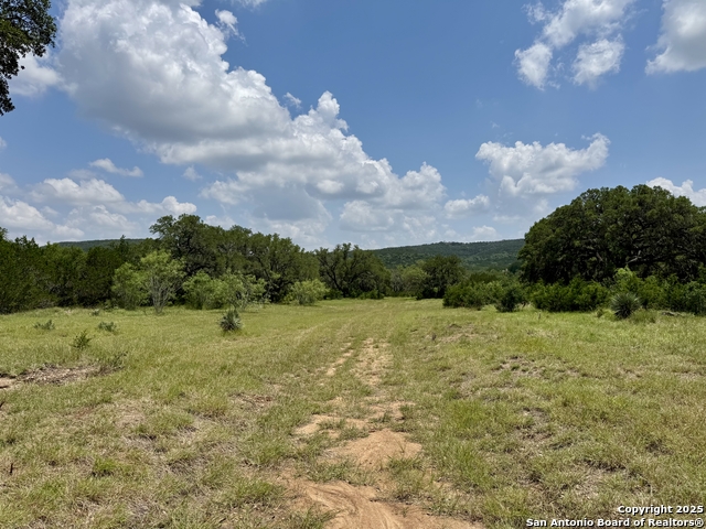 Image 2 of 35 For Lot 186 Pr 1712
