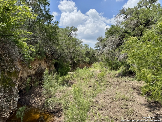 Image 20 of 35 For Lot 186 Pr 1712