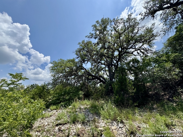 Image 21 of 35 For Lot 186 Pr 1712