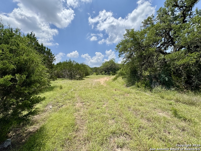 Image 23 of 35 For Lot 186 Pr 1712