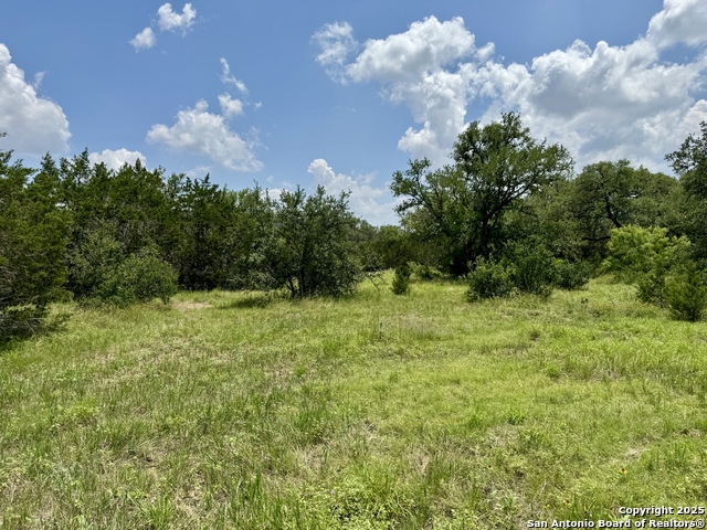 Image 24 of 35 For Lot 186 Pr 1712