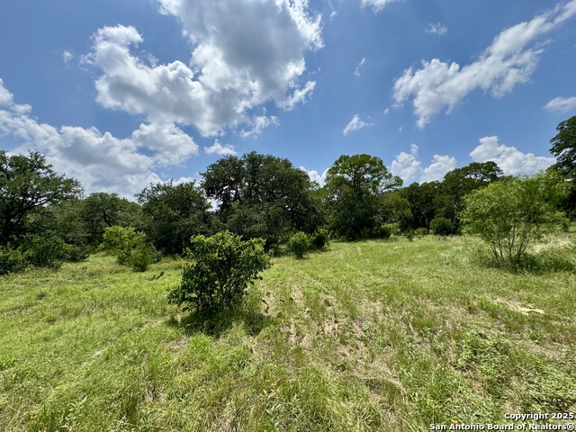 Image 25 of 35 For Lot 186 Pr 1712