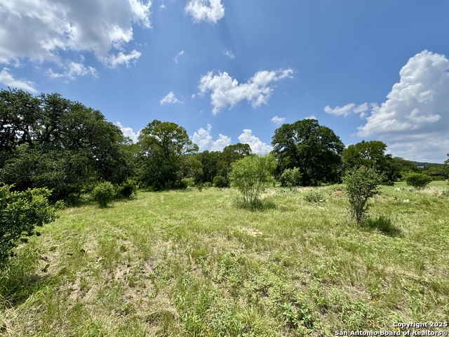 Image 26 of 35 For Lot 186 Pr 1712