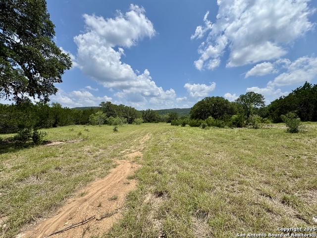 Image 3 of 35 For Lot 186 Pr 1712
