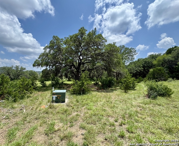 Image 6 of 35 For Lot 186 Pr 1712