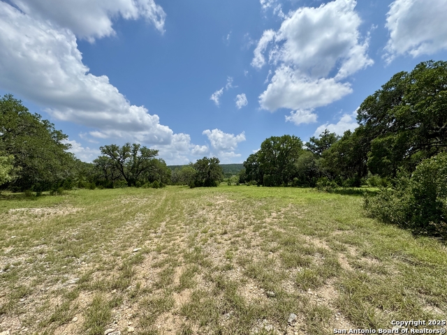 Image 7 of 35 For Lot 186 Pr 1712