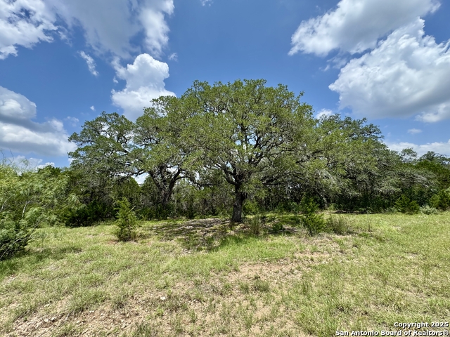 Image 8 of 35 For Lot 186 Pr 1712