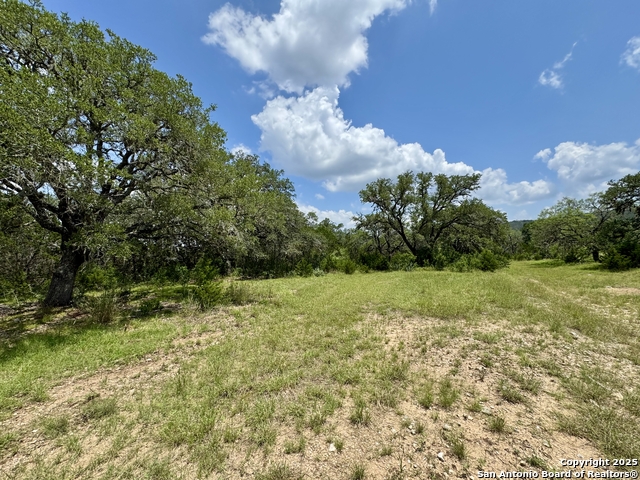 Image 9 of 35 For Lot 186 Pr 1712